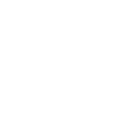 Baardman IT